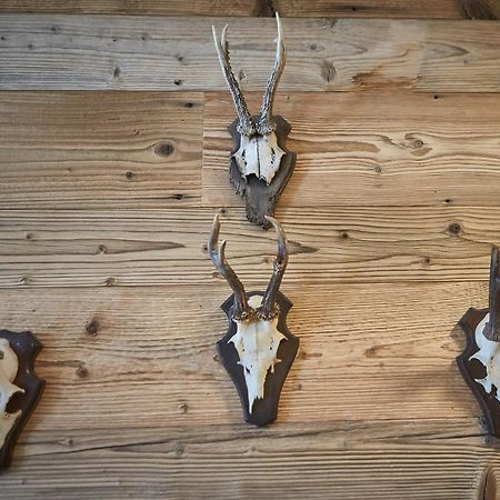 Glemm Lodge Apartments - Joker Card Im Sommer Inklusive Saalbach-Hinterglemm Eksteriør billede