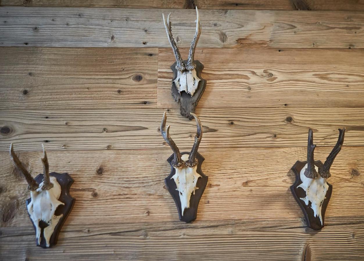 Glemm Lodge Apartments - Joker Card Im Sommer Inklusive Saalbach-Hinterglemm Eksteriør billede